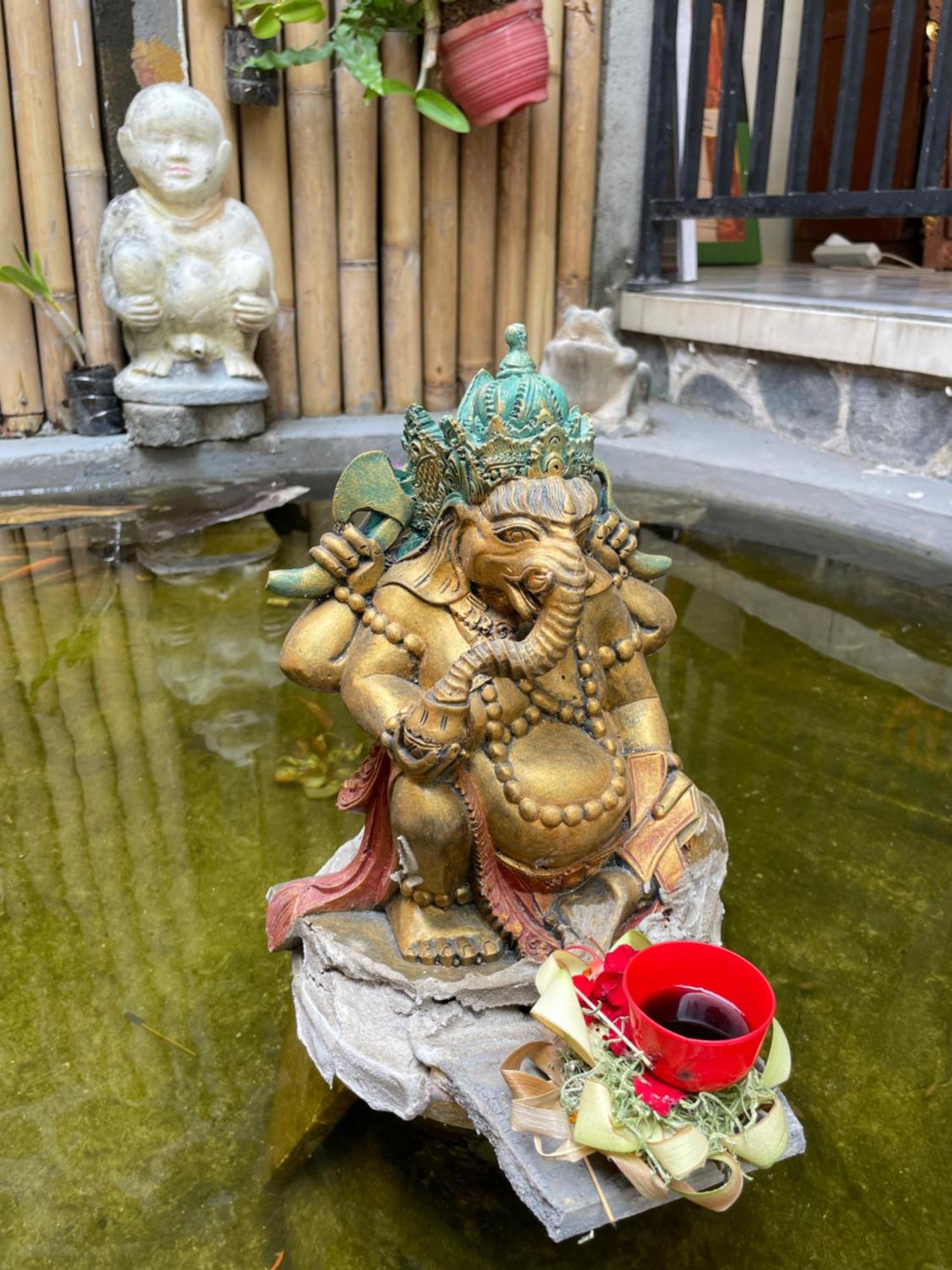 Hotel Kubu Elsa Bali Lovina Esterno foto
