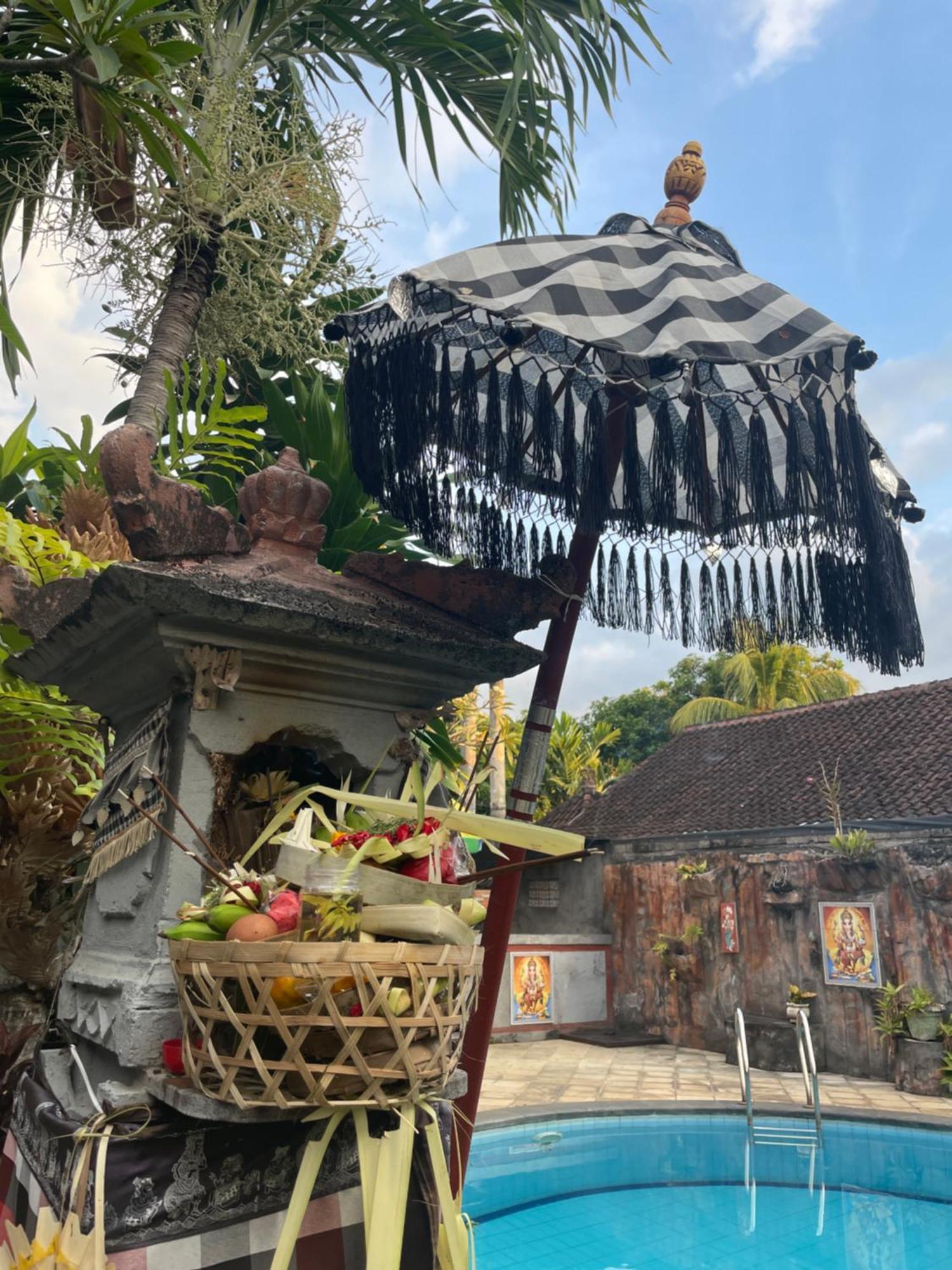 Hotel Kubu Elsa Bali Lovina Esterno foto